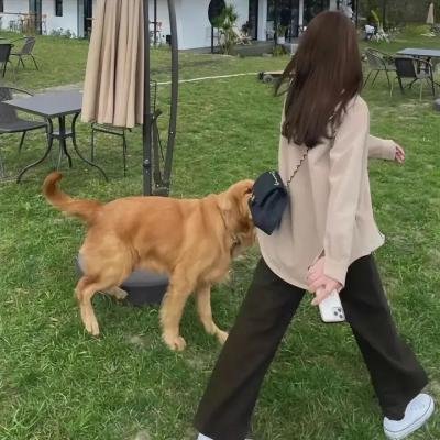 野兽活百科第一季